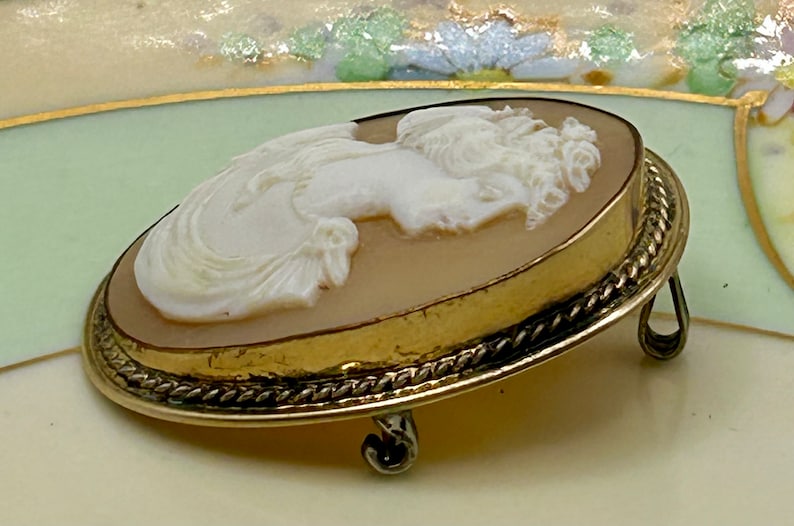 May include: A gold-toned cameo brooch with a white cameo of a woman's profile. The cameo is set in a gold-toned oval frame with a rope-like border. The brooch has two gold-toned prongs on the back.