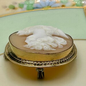 May include: A cameo brooch with a white cameo of a woman's profile set in a gold tone metal base with three feet.