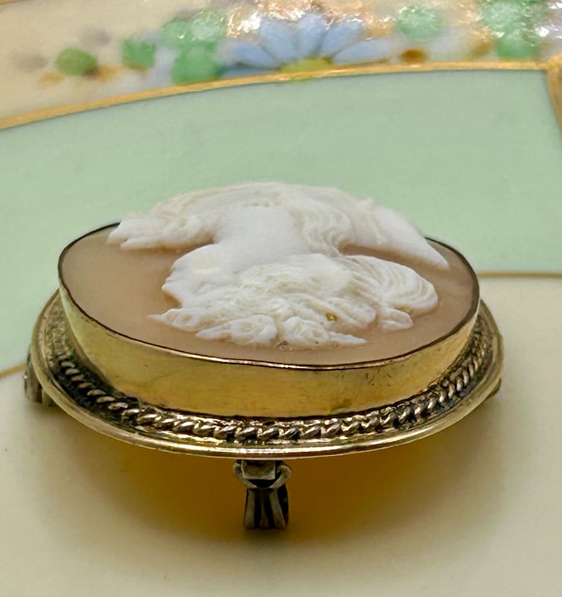 May include: A cameo brooch with a white cameo of a woman's profile set in a gold tone metal base with three feet.