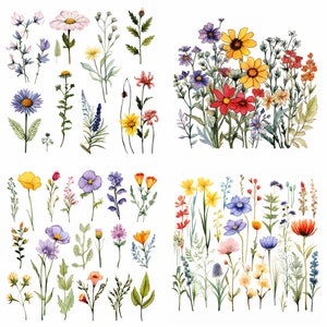 Watercolor Floral Clipart - Wild meadow - Wildflowers clipart - Floral border set - Wildflowers borders