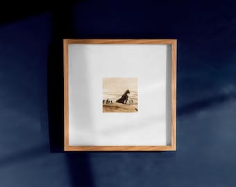 Miniatura de la película La Odisea: Ilustración en acuarela de la película.