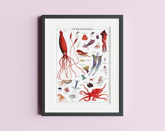 Cephalopods Art Print: Squid and Octopus Illustration (A4, A3)