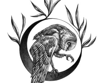 May include: A black and white pencil drawing of an owl perched on a crescent moon with leafy branches surrounding it.