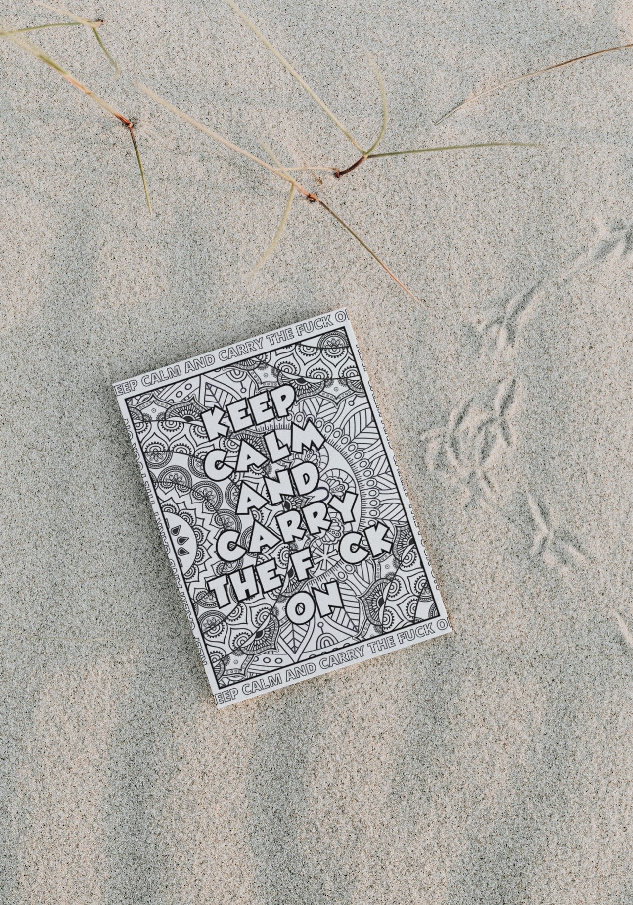 8 5X11 Swear Words Coloring Page Goodnotes Coloring Pages Etsy