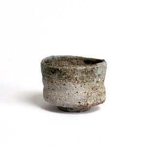 Boxed Guinomi Sake Cup - Haga Ryuichi / Japanese studio pottery / Wild Clay / Wood Fired /  Hand thrown stoneware ceramic in gift box