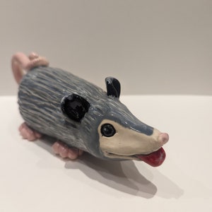 Tongue out opossum