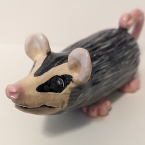 Weißes Ohropossum
