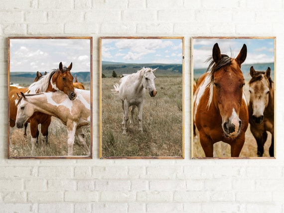 Wild Horse Photography Montana Wild Horse Print Set of 3 2 | Etsy
