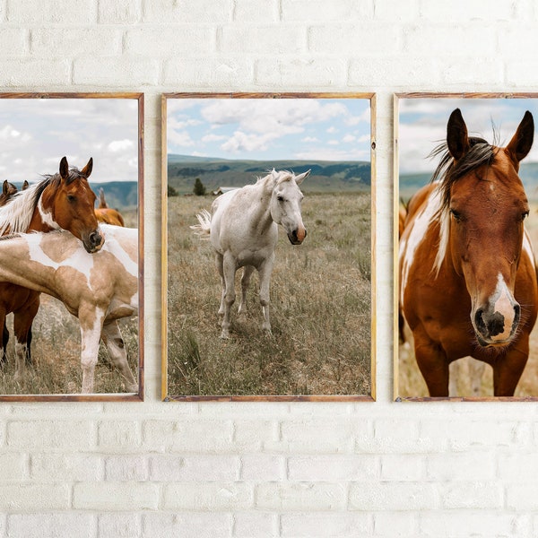 Wild Horse Photography Montana Wild Horse Print - Set of 3 | 2 Horses, 2 Horses, 1 White Horse, Prints, Western, Wall Art, Wall Print