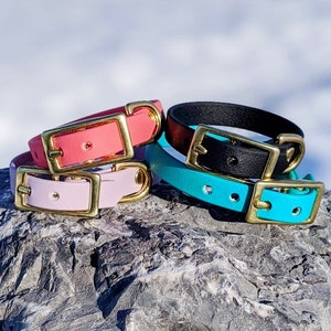 1/2'' Waterproof Cat Collar, Black Collar, Brass Buckle, Classic Collar, Vegan Leather Cat Collar, Faux Leather Cat Collar, Biothane Collar