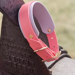 1&#39;&#39; Waterproof Dog Collar, Coral Pink and Lilac, Rose Gold Buckle, Titan Collar, Vegan Leather Collar, Faux Leather Dog Collar, Biothane