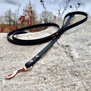 1/2&#39;&#39; Waterproof Dog Leash, Black, Rose Gold Snap Hook, Classic Leash, Vegan Leather Leash, Faux Leather Leash, Small Dog Leash, Biothane