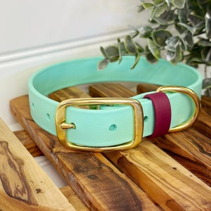 1&#39;&#39; Waterproof Dog Collar, Strap Keeper, Seafoam Green, Wine, Classic Collar, Brass Buckle, Vegan Leather Collar, Faux Leather, Biothane