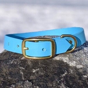 1&#39;&#39; Waterproof Dog Collar, Pastel Blue, Brass Buckle, Classic Collar, Vegan Leather Collar, Faux Leather Dog Collar, Biothane Collar