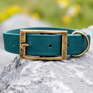 1&#39;&#39; Waterproof Dog Collar, Classic Collar, Antique Brass, Forest Green, Vegan Leather Collar, Faux Leather Collar, Biothane Dog Collar