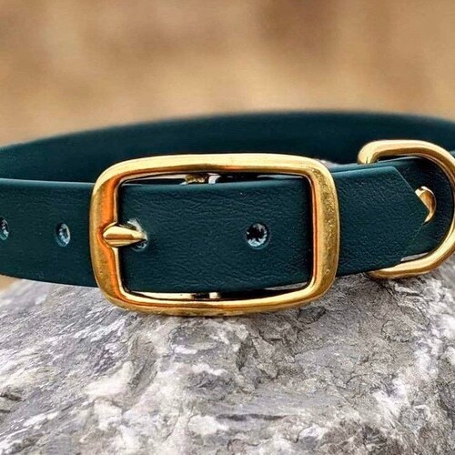 Petsochic Dog Collar Forest Green