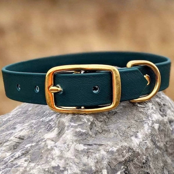 1'' Waterproof Dog Collar, Forest Green Collar, Brass Buckle, Classic Collar, Vegan Leather Dog Collar, Faux Leather Collar, Biothane Collar