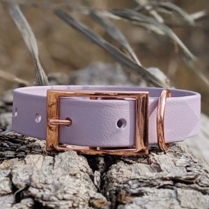 1&#39;&#39; Waterproof Dog Collar, Lilac Collar, Rose Gold Buckle, Classic Collar, Vegan Leather Collar, Faux Leather Collar, Biothane Dog Collar