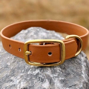 1&#39;&#39; Waterproof Dog Collar, Chestnut Collar, Brass Buckle, Classic Collar, Vegan Leather Collar, Faux Leather Dog Collar, Biothane Collar