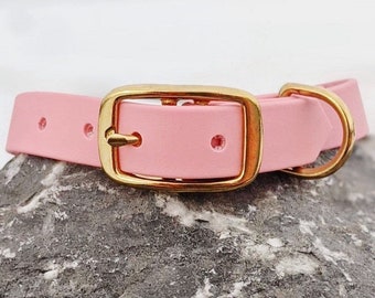 May include: A pink dog collar with a gold buckle and a gold D-ring.