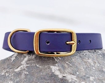 Collier de chien imperméable 1'', collier violet, boucle en laiton, collier classique, collier en cuir végétalien, collier de chien en faux cuir, collier biothane