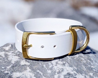 Coleira impermeável para cães de 3,8 cm (1,5"), branca, dourada, com fivela de latão, modelo Enzo, coleira de couro vegano, coleira de couro sintético para cães, coleira de biothane.