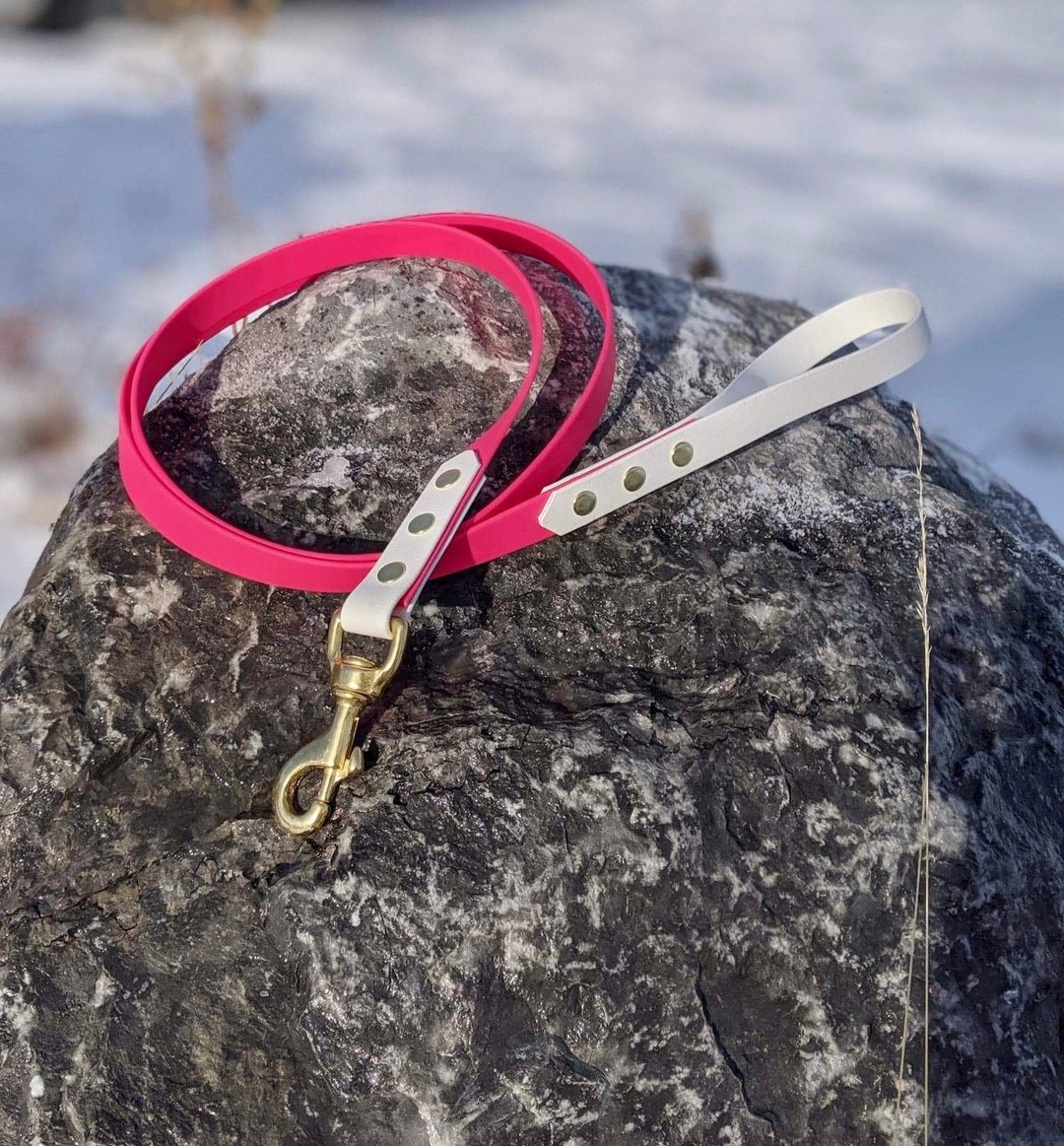 Pink Leach 3/4'' Waterproof Dog Leash, Hot Pink and White, Two Tone Dog Leash ...