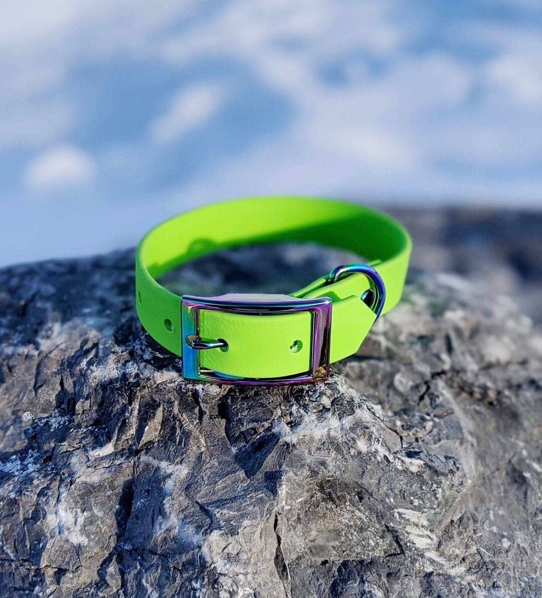 1'' Waterproof Dog Collar, Lime Green Collar, Neo Chrome Buckle, Classic Collar, Faux Leather