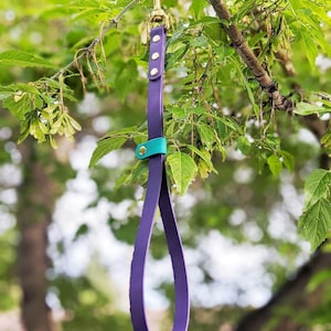 May include: A purple leather dog lead with a gold clasp and a teal accent. The lead is hanging from a tree branch.