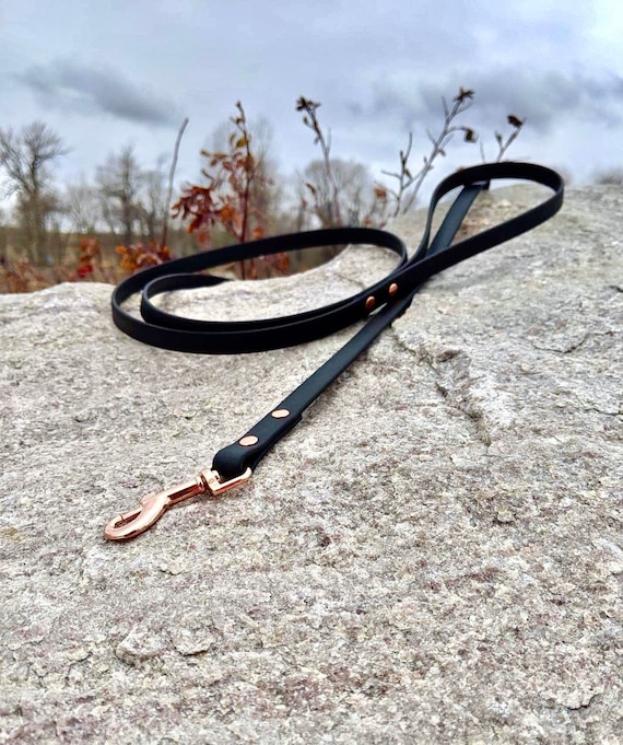 rose gold chain leash