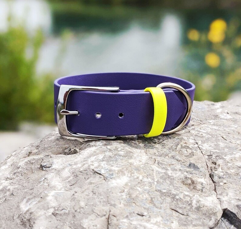 1.5'' Waterproof Dog Collar Purple Silver Buckle Etsy Canada