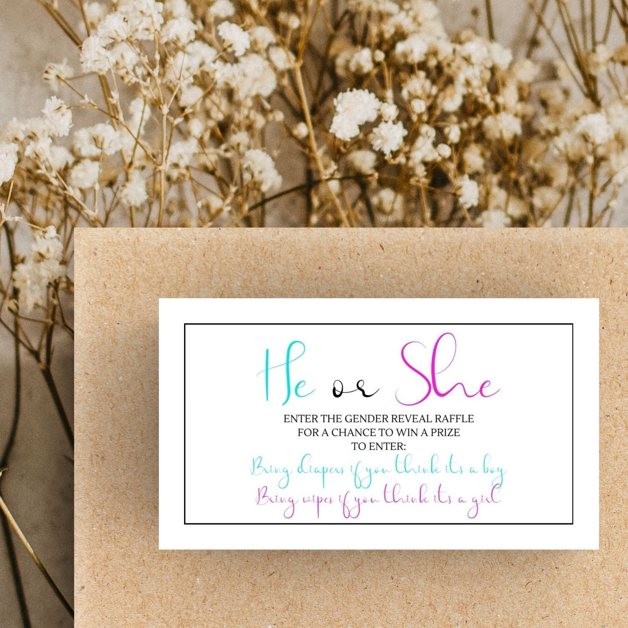 He or She Gender Reveal Raffle, Vote by Bringing Diapers or Wipes and