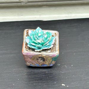 May include: A small, green succulent plant in a colorful ceramic pot with a floral design. The pot has a square shape and is decorated with gold accents.