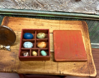 DollHouse  1:12 - Bird Egg Collection in Wooden Box. OOAK IGMA Artisan Miniature