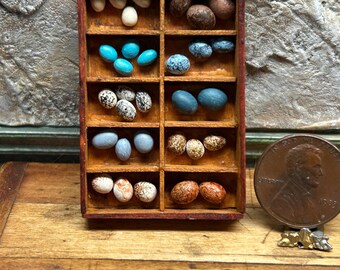DollHouse  1:12 - Bird Egg Collection in Wooden Tray, 10 varieties OOAK IGMA