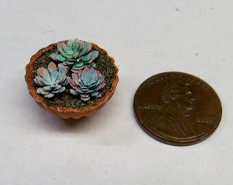 Dollhouse Miniature 1:12 Artisan Succulents in Terracotta Pot, OOAK
