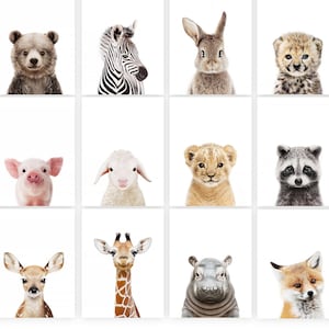 PRINTABLE Baby Animal Prints, Safari, Woodland, Farm Nursery Wall Art Pictures, Large