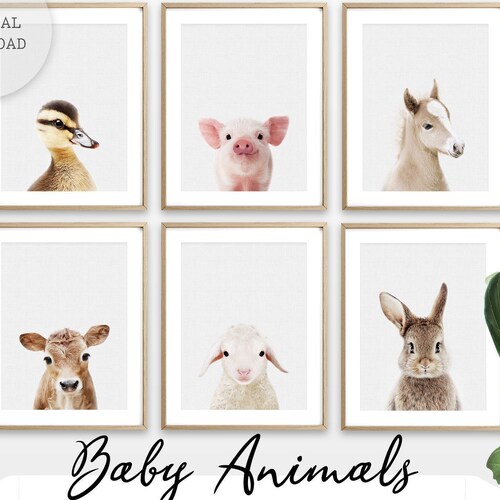 Farm Animal Nursery Prints 6 Set Baby Farm Animal Noise Etsy