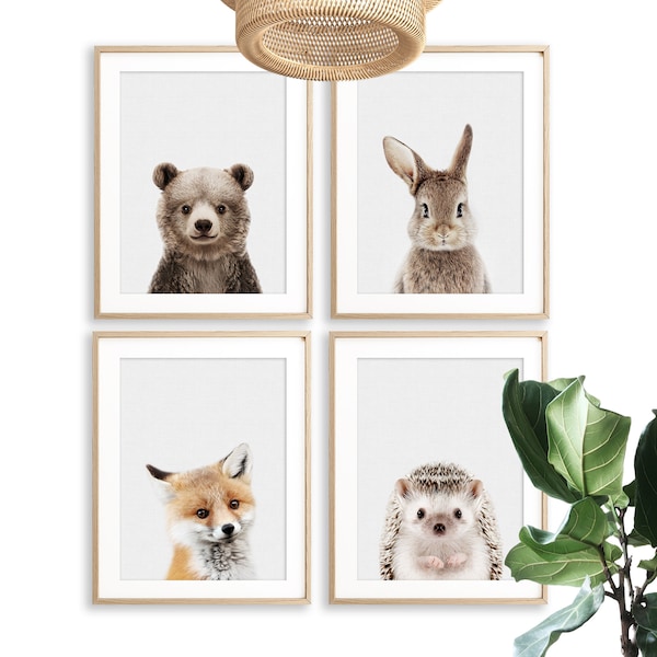 Woodland Nursery Decor Print Set of 4 Baby Animal Nursery Prints Woodland Prints Gender Neutral Nursery Wall Art PRINTABLE DIGITAL DOWNLOAD