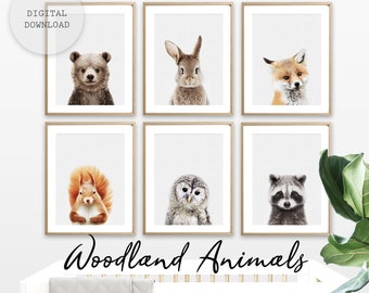 Baby Woodland Animal Art Nursery Animal Wall Art Nursery Woodland Nursery PRINTABLE Forest Animal Nursery Wall Art Animal Nursery Art Prints