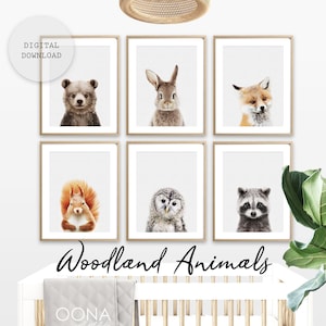 Baby Woodland Animal Art Nursery Animal Wall Art Nursery Woodland Nursery PRINTABLE Forest Animal Nursery Wall Art Animal Nursery Art Prints