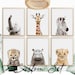 Safari Nursery Prints Set of 6 Jungle Animal Prints Baby Animal Wall ...
