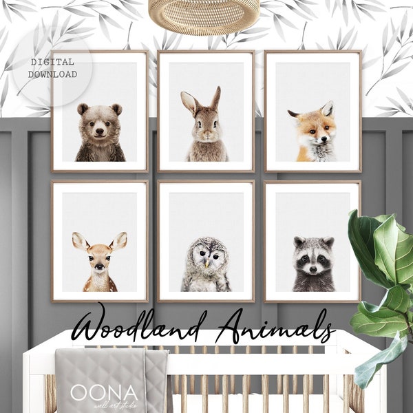 Woodland Baby Animal Prints Set of 6 Woodland Animals Wall Art Forest Nursery PRINTABLE Wall Art Wild Bear Fox Rabbit Decor INSTANT DOWNLOAD