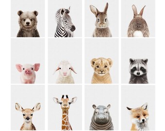 Baby Animal Print Etsy