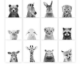 Black And White Nursery Animal Prints PRINTABLE Safari Nursery Prints Woodland Nursery Art B&W Baby animals Wall Art Decor DIGITAL DOWNLOAD