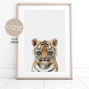 May include: A close-up of a tiger cub with orange and black stripes. The cub has green eyes and is looking directly at the camera.