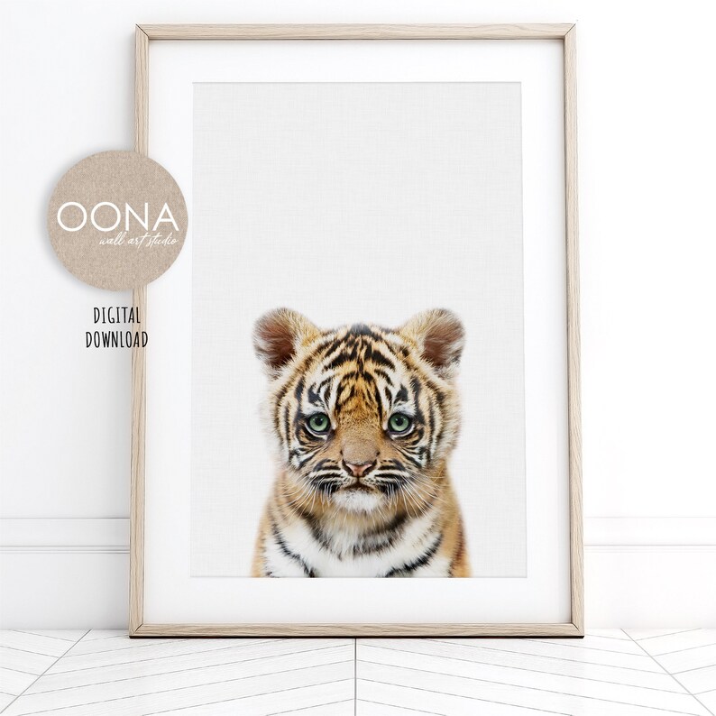 May include: A close-up of a tiger cub with orange and black stripes. The cub has green eyes and is looking directly at the camera.
