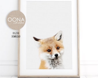 Wildlife Art Print Curious Red Fox Poster Art Style Decor Poster No Frame
