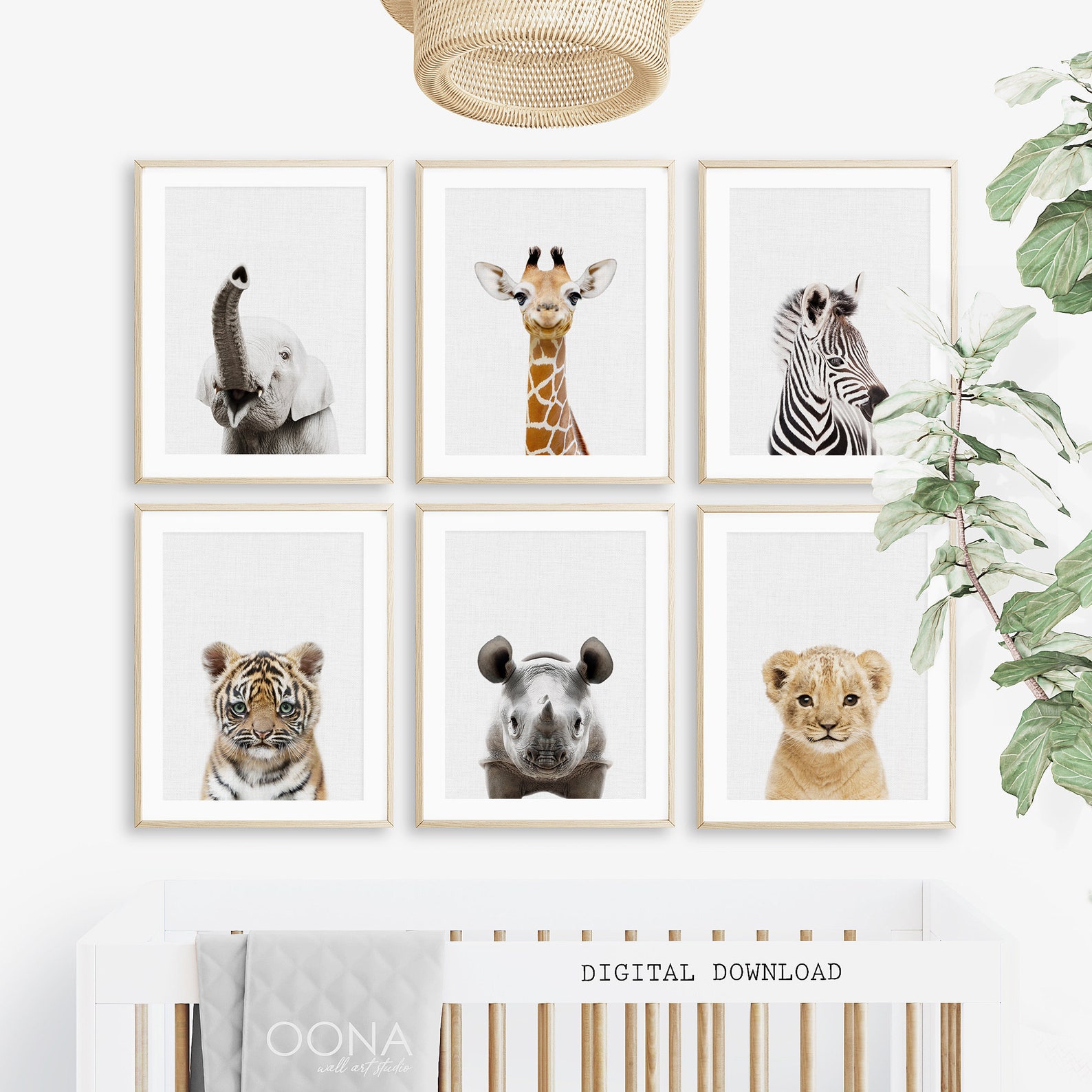 Baby Safari Animals Nursery Prints Animal Set of 6 Kid Baby Etsy