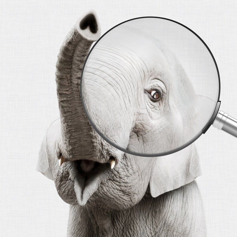 Baby Elephant Nursery Art PRINTABLE Nursery Wall Art Elephant - Etsy